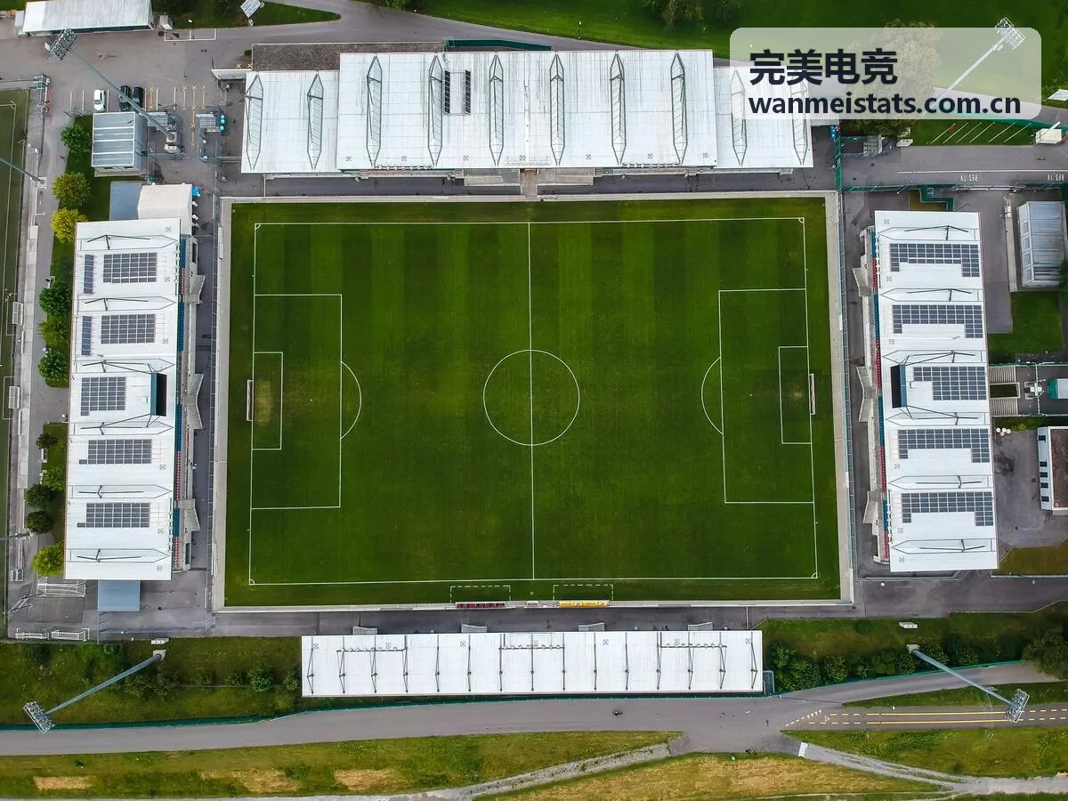 完美电竞攻略库版本强势英雄出装与符文攻略封面